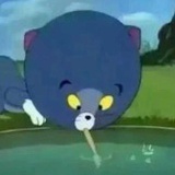 LEのn个晴天