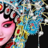 鸢尾花开
