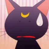 猫猫老板娘~
