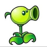 🎾🎾🎾🎾🎾