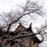 零下一度