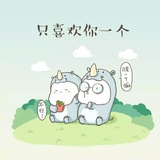 甲壳虫小五