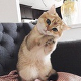 管⁢⁢理⁢员