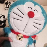 机器猫daisy