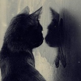 Moustache