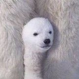 暮海
