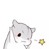 李卷卷