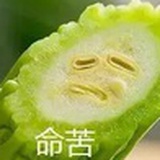 人间苦瓜一枚