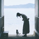 宫雨霁