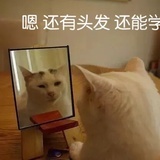 榆
