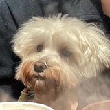 小咸