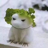 安耐薇
