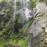 沉进走君