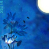夜蓝