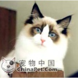 年少故事便是了