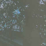 吉田心