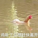 数数