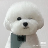 一二三四五六八