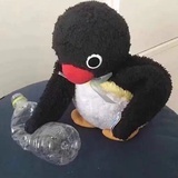 小兔纸的耳朵