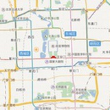 小刺伟伟