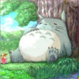 纳兰重光