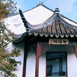 达达の杀猪菜🐟