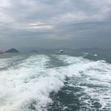 小狐狸