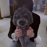 小绿S