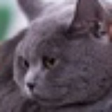 cbokt