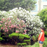 讲给自己听