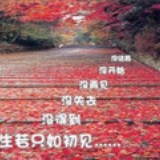 不虹