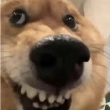 Mo