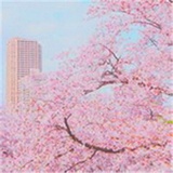 天威星