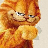 宝贝猫