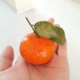 豌豆儿