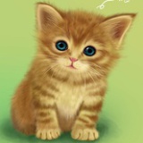 猫鱼的狗窝