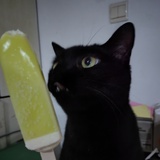 栗子