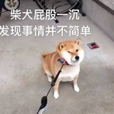 南方以南