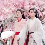 流浪树洞