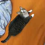 多多要多看书