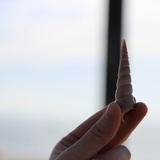 子吟
