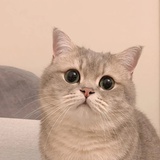 ?……