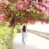 妖精津