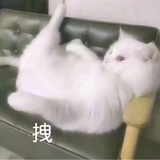 『萌三岁』