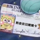 两米兔的两斤兔