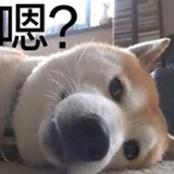 aXi