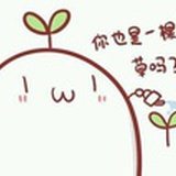 一颗草