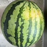 复方可芮奇诺