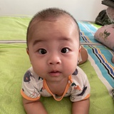 大只小袁子