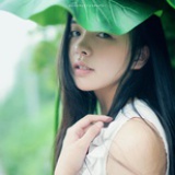木子呆